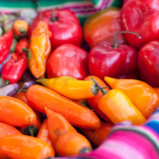 DSC_5946carré Traiteur Équateur Cordillère des Andes